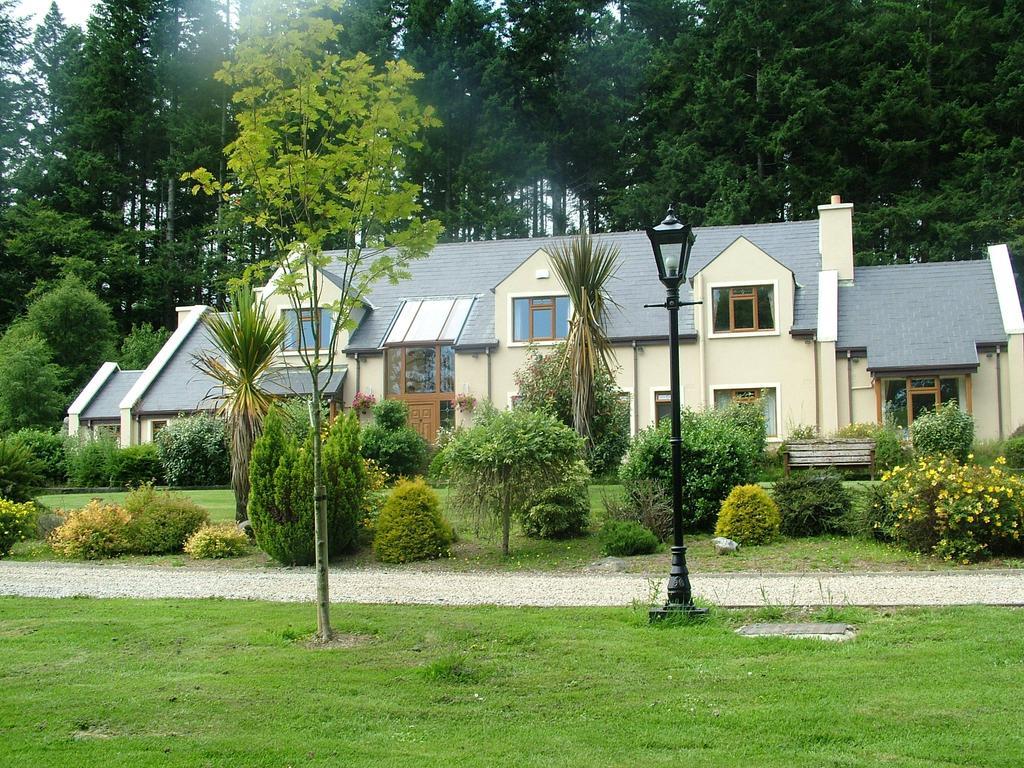 Trooperstown Lodge Laragh Kültér fotó